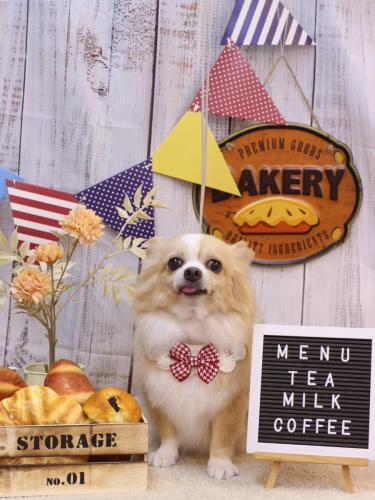 20240910マロ太くん